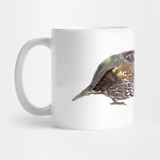 California Quail Mug